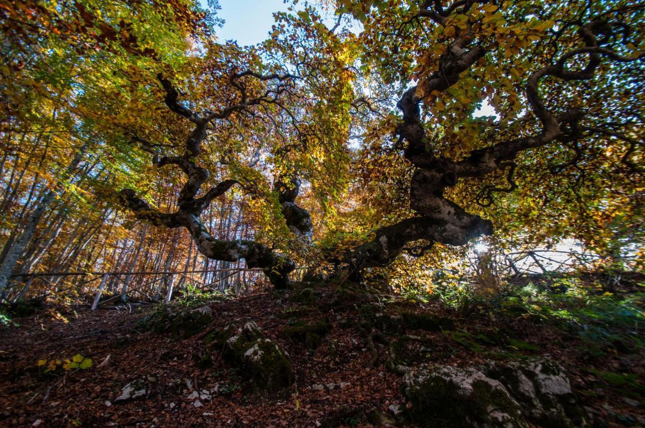 Alloggio Turistico Luigina Morro Reatino Dış mekan fotoğraf